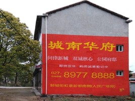 定边百分之90的人都不了解的农村墙体广告