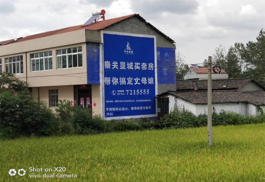 定边决定墙体广告价格的因素有哪些?