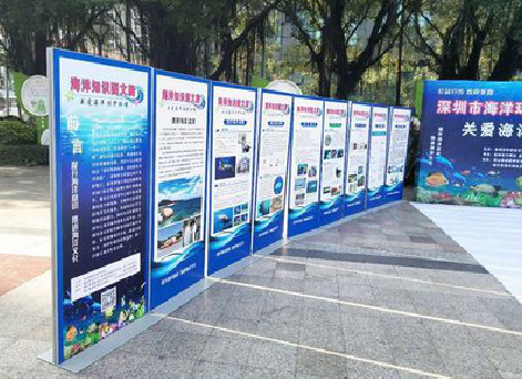 定边KT板的种类和知识。